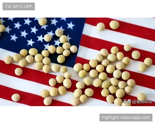 商务部就大豆问题发声:关税政策不应成为阻碍,大豆 关税 商务部就大豆问题发声:关税政策不应成为阻碍,大豆 关税